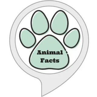 Animal_Facts