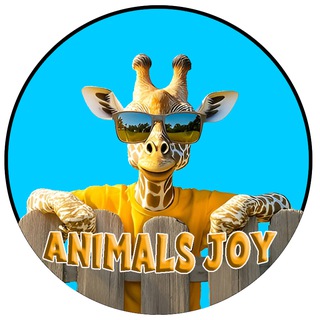 Animals_Joy