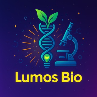Lumos_Bio___Revision