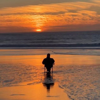 _________________________________