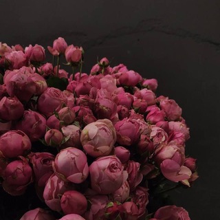 Wallpaper_phone___Top_Trending___